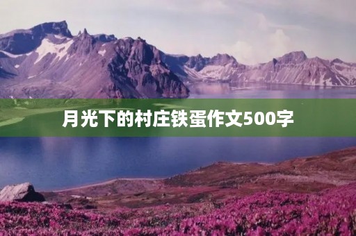 月光下的村庄铁蛋作文500字 月光下的村庄铁蛋作文500字
