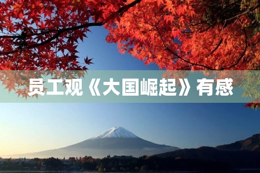 员工观《大国崛起》有感 员工观《大国崛起》有感