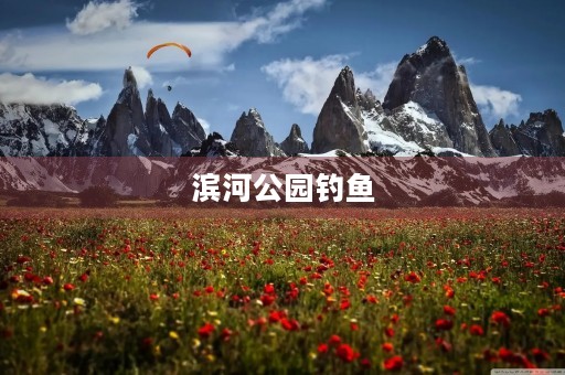 滨河公园钓鱼 滨河公园钓鱼