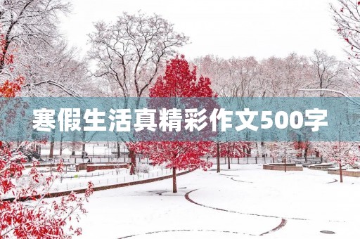 寒假生活真精彩作文500字