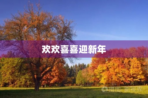 欢欢喜喜迎新年 欢欢喜喜迎新年
