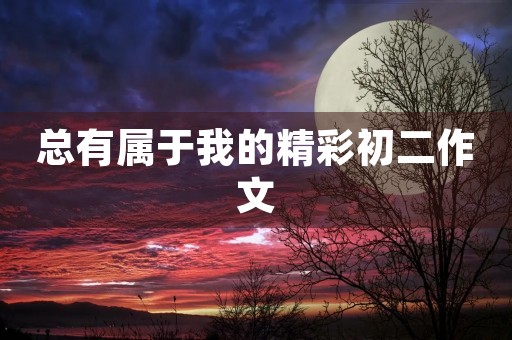 总有属于我的精彩初二作文