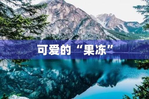 可爱的“果冻” 可爱的“果冻”