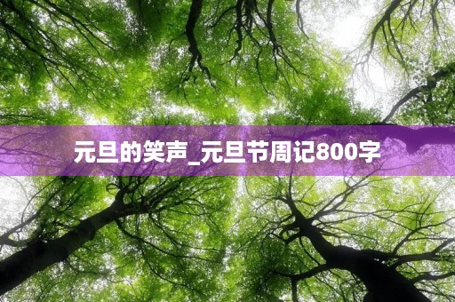 元旦的笑声_元旦节周记800字 元旦的笑声_元旦节周记800字