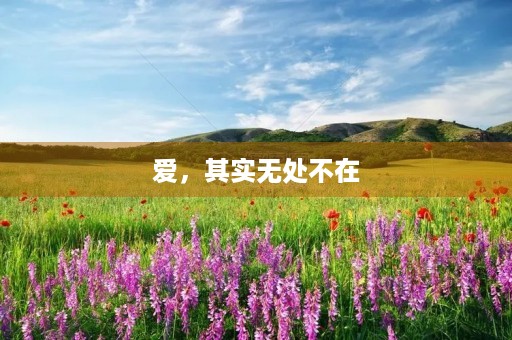 爱,其实无处不在 爱,其实无处不在