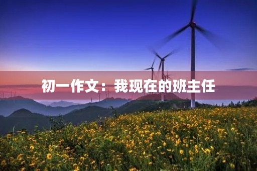 初一作文:我现在的班主任 初一作文:我现在的班主任