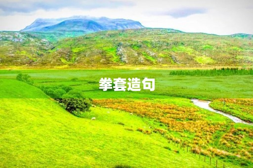 拳套造句