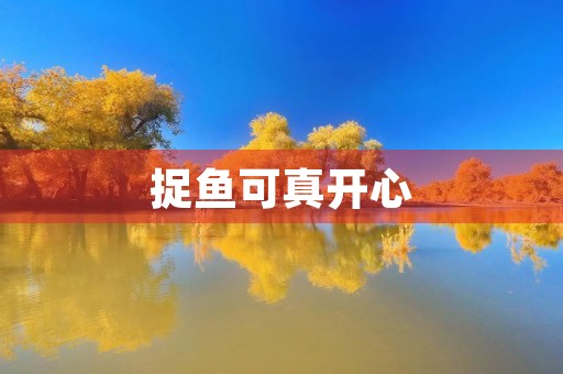 捉鱼可真开心