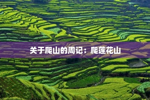 关于爬山的周记:爬莲花山 关于爬山的周记:爬莲花山