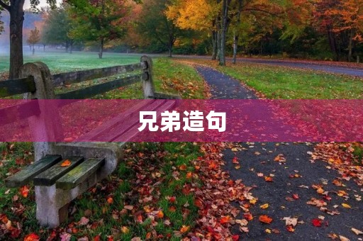 兄弟造句 兄弟造句
