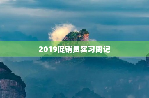 2019促销员实习周记