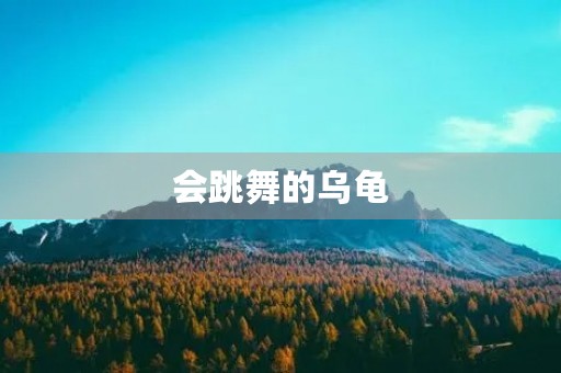 会跳舞的乌龟 会跳舞的乌龟