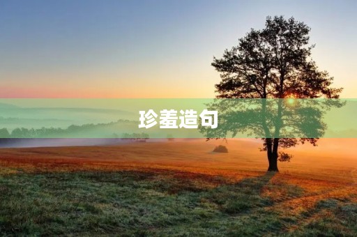 珍羞造句 珍羞造句