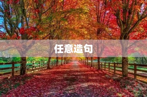 任意造句 任意造句