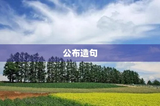 公布造句 公布造句