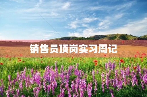 销售员顶岗实习周记 销售员顶岗实习周记