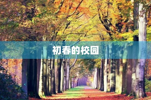 初春的校园 初春的校园
