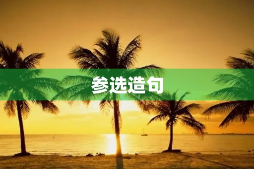 参选造句