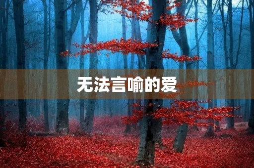 无法言喻的爱 无法言喻的爱