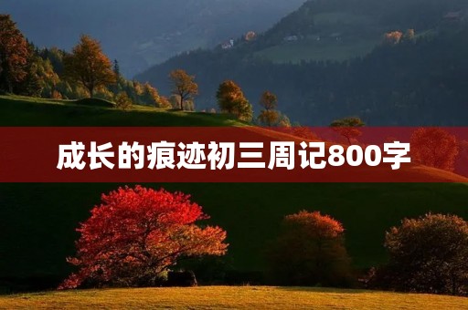 成长的痕迹初三周记800字
成长的痕迹初三周记800字