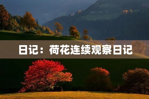 日记:荷花连续观察日记 日记:荷花连续观察日记
