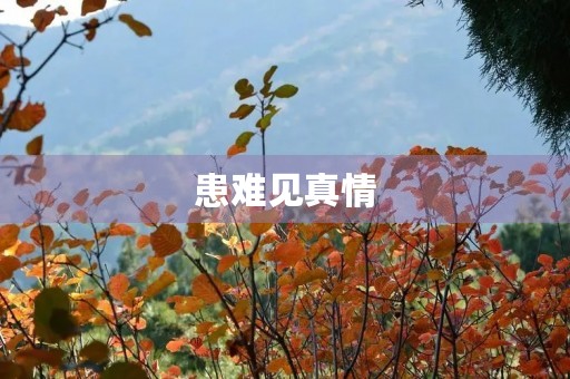 患难见真情