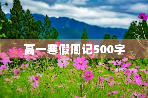高一寒假周记500字【六篇】 高一寒假周记500字【六篇】