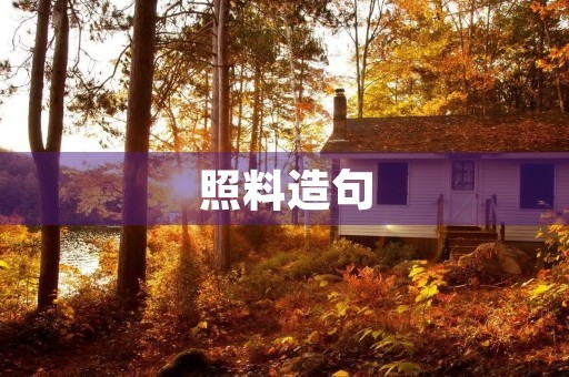照料造句 照料造句