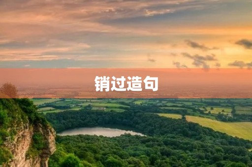 销过造句