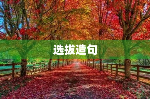 选拔造句 选拔造句