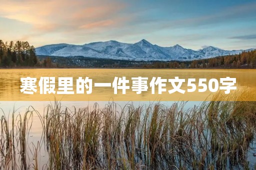 寒假里的一件事作文550字 寒假里的一件事作文550字