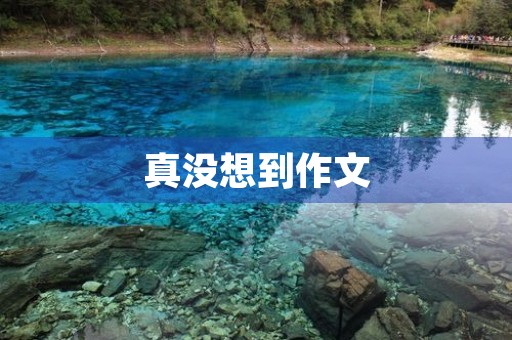 真没想到作文 真没想到作文