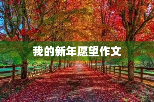 我的新年愿望作文 我的新年愿望作文