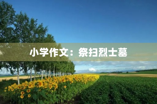 小学作文:祭扫烈士墓 小学作文:祭扫烈士墓