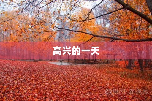 高兴的一天