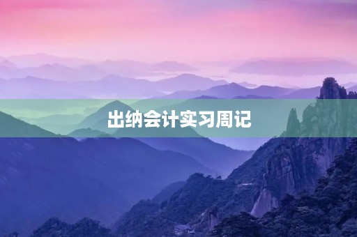 出纳会计实习周记 出纳会计实习周记
