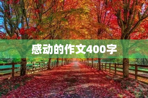 感动的作文400字