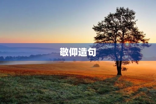 敬仰造句 敬仰造句