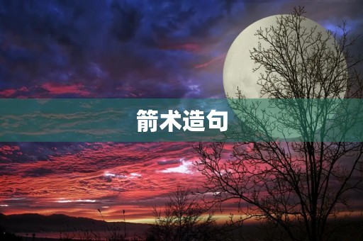 箭术造句