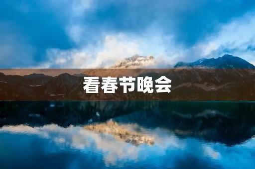 看春节晚会