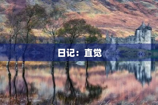日记:直觉 日记:直觉