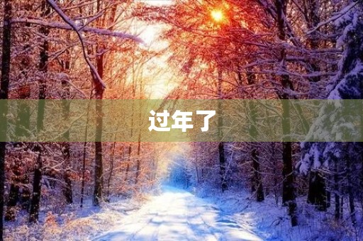 过年了 过年了