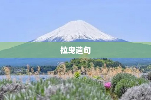 拉曳造句