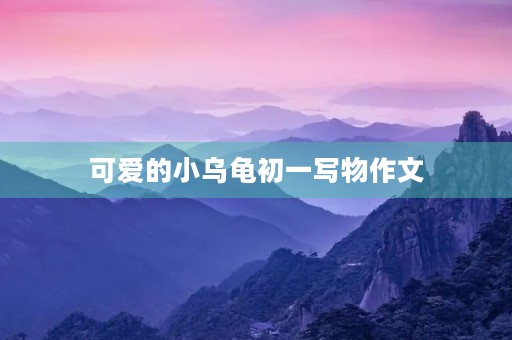 可爱的小乌龟初一写物作文