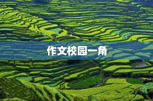 作文校园一角