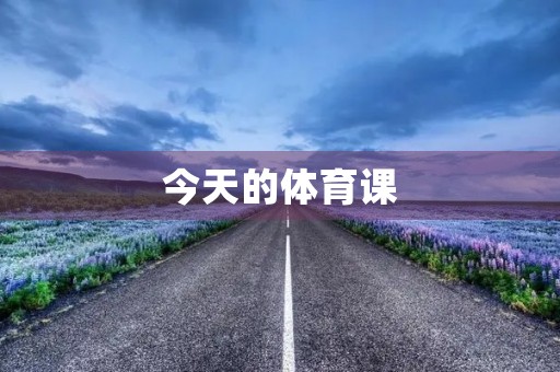 今天的体育课 今天的体育课