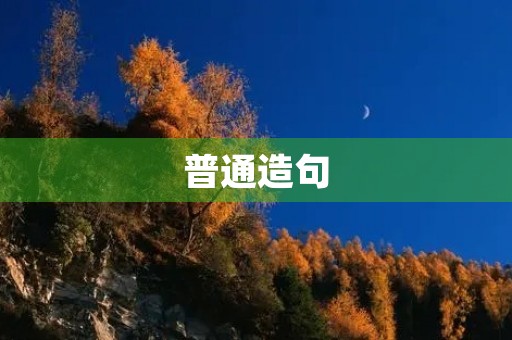普通造句 普通造句