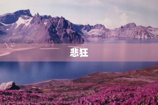 悲狂