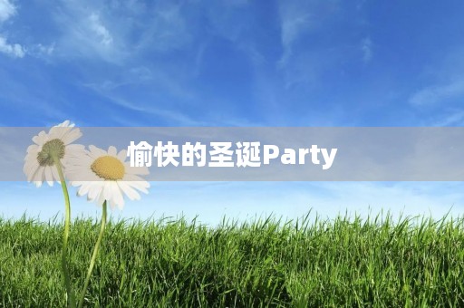 愉快的圣诞Party 愉快的圣诞Party
