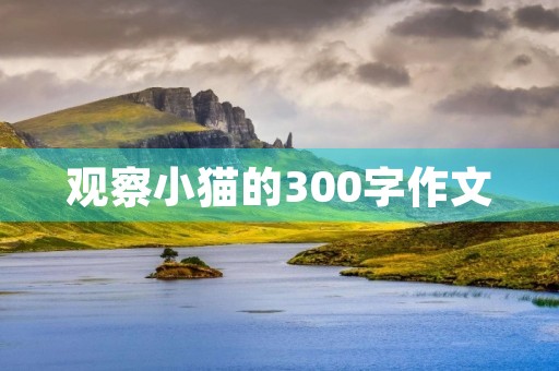 观察小猫的300字作文